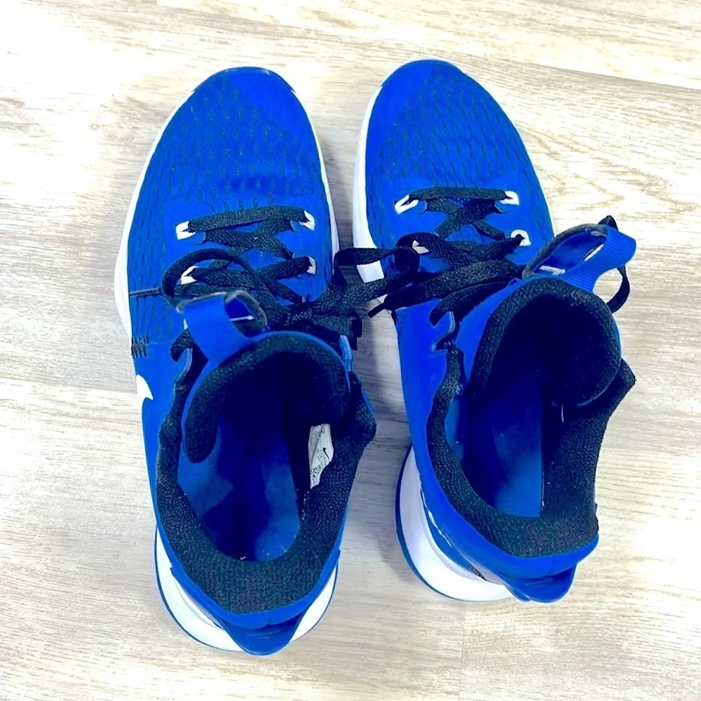 Nike‎ LeBron Witness 5 ‘Game Royal’ Blue White CQ9380-400 | Zoom Air Basketball